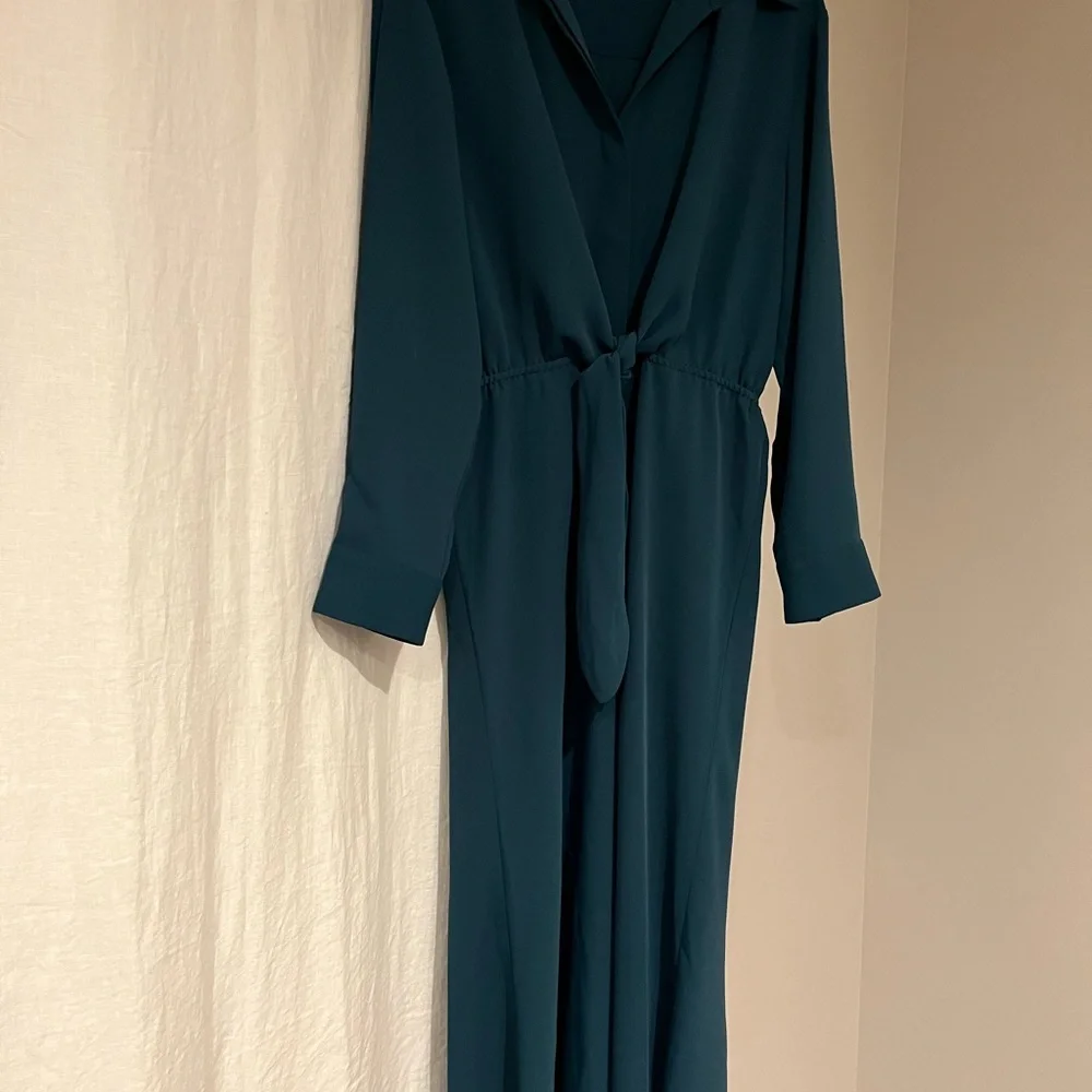 Babaton Abbey Midi Dress - Picture 4 of 6